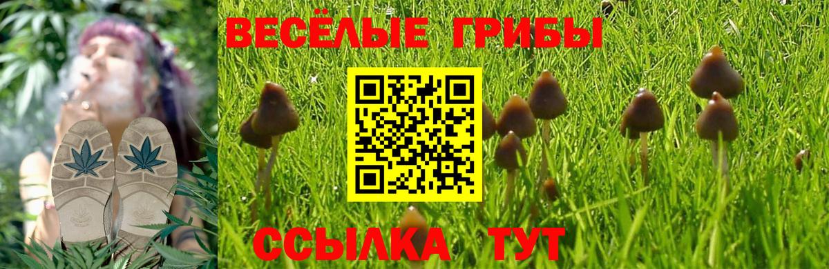 Галлюциногенные грибы Psilocybine cubensis  Вход с VPN  Томск  Псилоцибиновые грибы Psilocybine cubensis 