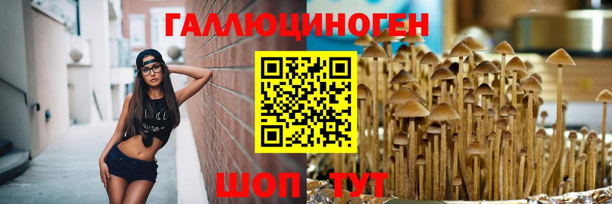 Псилоцибиновые грибы Magic Shrooms Томск